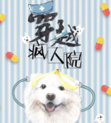 穿越瘋人院劇本殺復盤_故事答案真相_兇手解析【找攻略】