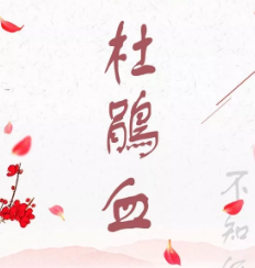 杜鵑血劇本殺復盤