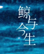 鯨與今生劇本殺復盤_真相答案_兇案推理_故事結局【劇本解析】