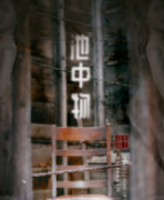 池中物劇本殺復盤_故事真相_答案線索_結局【推理解析】
