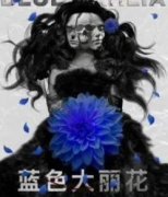 藍色大麗花劇本殺復盤_真相答案_故事結局_線索推理【案件解析】