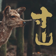 寸山劇本殺
