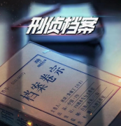 刑偵檔案劇本殺復盤_真相答案_案件線索_故事結局還原【二郎解析社】