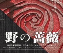 野の薔薇/野之薔薇劇本殺復盤_真相答案_線索解析_故事還原結(jié)局【二郎推理社】