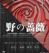 野の薔薇/野之薔薇劇本殺復盤_案件推理_真相答案結局【二郎推理社】