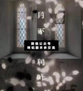 月下沙利葉劇本殺復盤_兇手揭秘_案件推理_答案結局【二郎解析社】