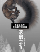 灰鼠之冬劇本殺復盤_真相答案_案件線索_兇手結局【二郎解析社】