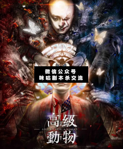 高級動物劇本殺