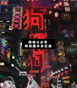 狗咬狗劇本殺兇手是誰_案件真相_線索推理_陣營機制