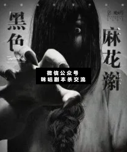 黑色麻花辮劇本殺
