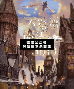 不靠譜魔法指南劇本殺