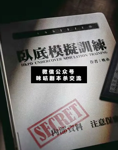 臥底模擬訓練劇本殺復盤