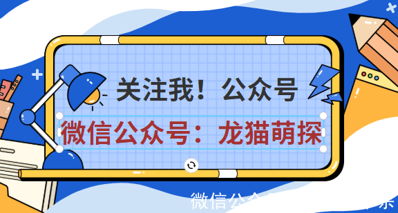 霧區劇本殺復盤