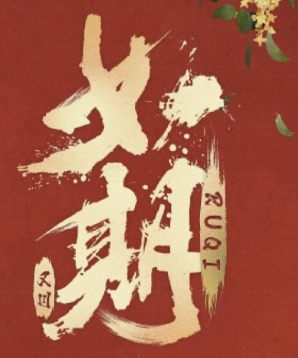 如期劇本殺復盤答案