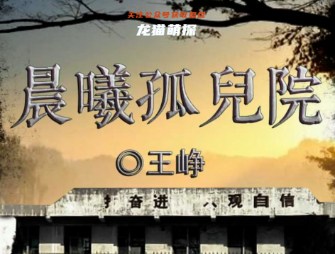 晨曦孤兒院劇本殺角色信息