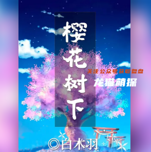 櫻花樹下劇本殺答案解析