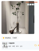 半盞茶事劇本殺復(fù)盤(pán)測(cè)評(píng)（新本測(cè)評(píng)）體驗(yàn)角色及劇情點(diǎn)評(píng)介紹