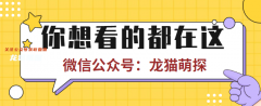 電子版劇本｜將死未死THX劇本殺復盤攻略／真相密碼／兇手推理技巧攻略