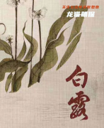 紅豆劇本殺(白露)復盤體驗測評（紅豆劇本殺最終結局及真相劇透揭秘）