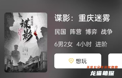 諜影:重慶迷霧劇本殺復(fù)盤