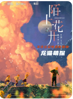 陌上花開劇本殺復盤測評