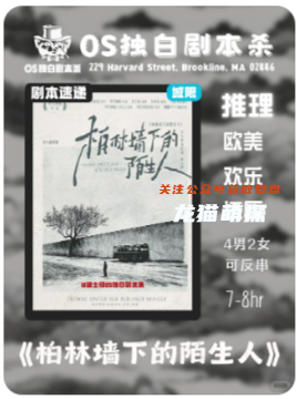 柏林墻下的陌生人劇本殺復盤
