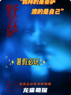 《野菩薩》劇本殺復(fù)盤測評