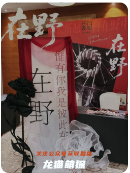 在野劇本殺復盤測評
