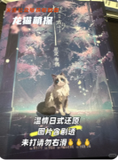 《櫻再會霜汐子》劇本殺復盤攻略：馬年新春/日式沉浸/情感結局