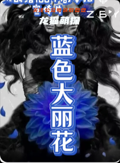 《藍色大麗花》劇本殺